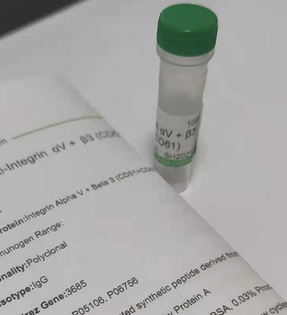 CD15/SSEA1�����õ���