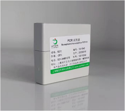 �����A��̽�뷨ӫ�ⶨ��PCR�Լ���