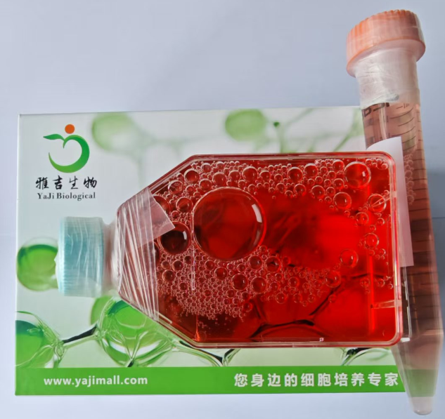 ����״ϸ����ϸ��UPCISCC143ϸ��